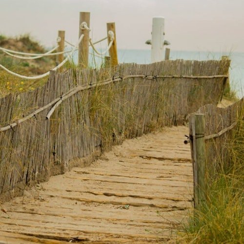Albufera: Excursión guiada de un día desde Valencia + Paseo en barco