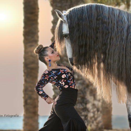 Club Hípico El Ranchito: Espectáculo andaluz de caballos y flamenco