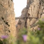 Caminito del Rey: Guided Tour in French + One-Way Transportation