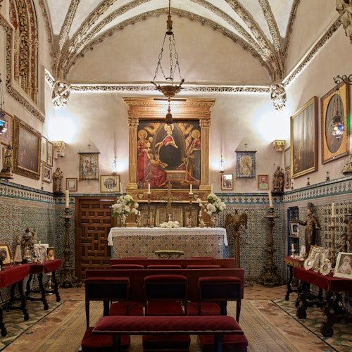 Palacio de las Dueñas: Entrada + App con audioguía