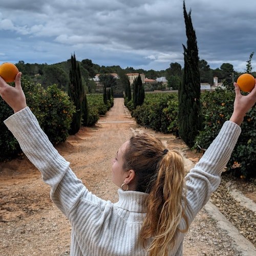 Huerto Ribera: Visita guiada a un huerto de naranjos desde Valencia + degustación gastronómica