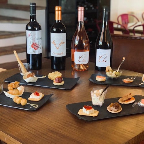 Doña Felisa Winery: Guided tour and wine tasting or meal