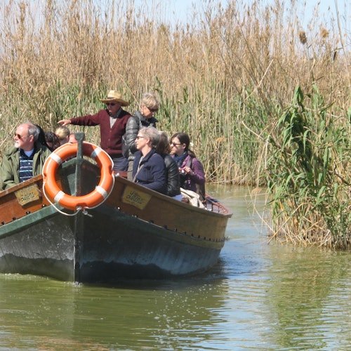 Albufera: Bus + Barco desde Valencia