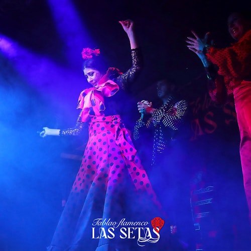 Tablao Flamenco La Setas Sevilla: Espectáculo Flamenco