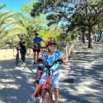 Valencia: Visita guiada en bicicleta eléctrica para grupos pequeños