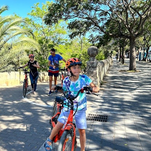 Valencia: Visita guiada en bicicleta eléctrica para grupos pequeños