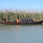 Albufera: Bus + Barco desde Valencia