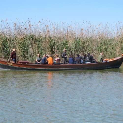 Albufera: Bus + Barco desde Valencia