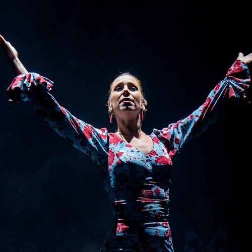 Teatro Flamenco Sevilla: Espectáculo de flamenco