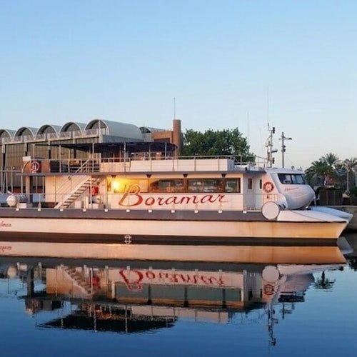 Valencia: Crucero en Catamarán por la Marina