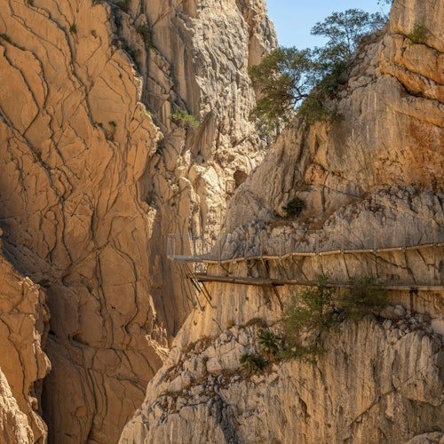 El Caminito del Rey: Guided Tour