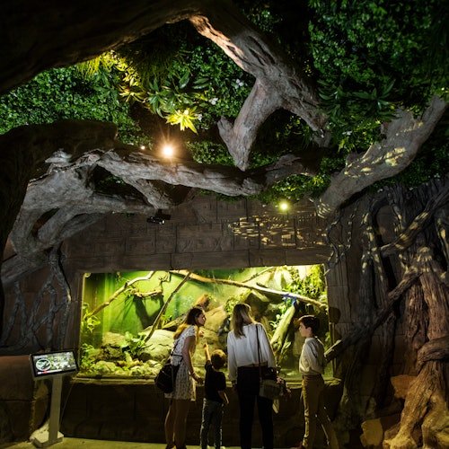 Acuario de Sevilla: Entrada