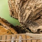 Caminito del Rey: Excursión guiada de un día desde Málaga
