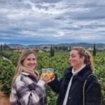 Huerto Ribera: Visita guiada a un huerto de naranjos desde Valencia + degustación gastronómica