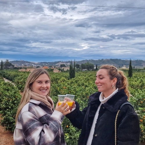 Huerto Ribera: Visita guiada a un huerto de naranjos desde Valencia + degustación gastronómica