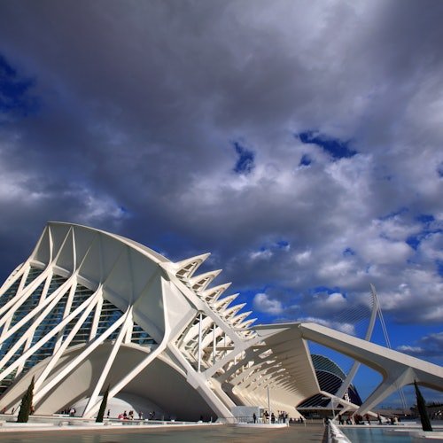 Museo de las Ciencias de Valencia: Entrada sin colas