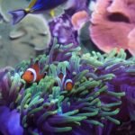 Acuario de Sevilla: Entrada