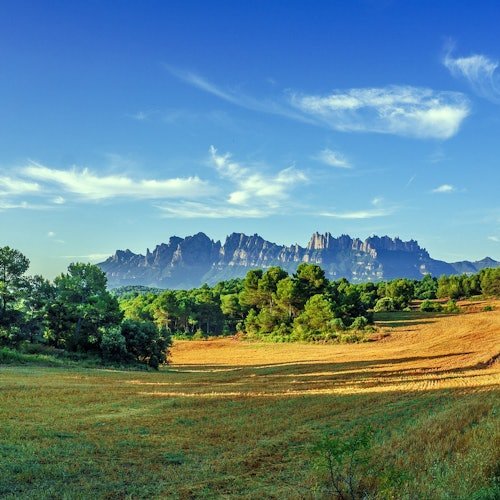 Excursión a Montserrat en grupo reducido con recogida en el hotel
