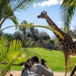 Bioparc Valencia: Entrada de acceso rápido
