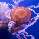 Acuario de Sevilla: Entrada