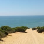 Parque Nacional de Doñana y El Rocío: Excursión de un día desde Sevilla