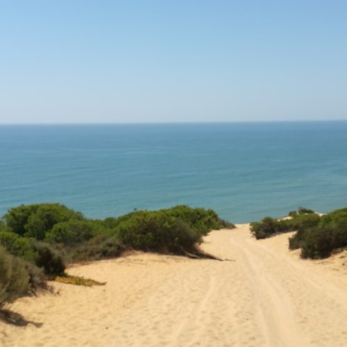 Parque Nacional de Doñana y El Rocío: Excursión de un día desde Sevilla