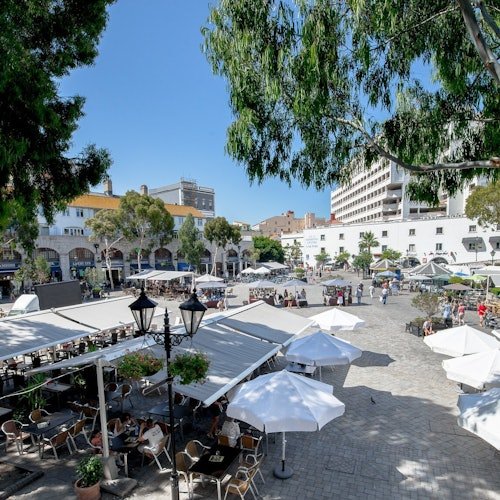 Rock of Gibraltar: Day Trip from Málaga