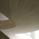 Palau de les Arts Reina Sofia: Entrada + Folleto