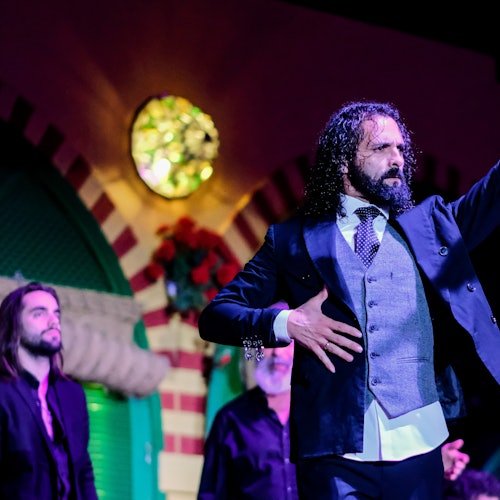 El Palacio Andaluz Sevilla: Solo Flamenco