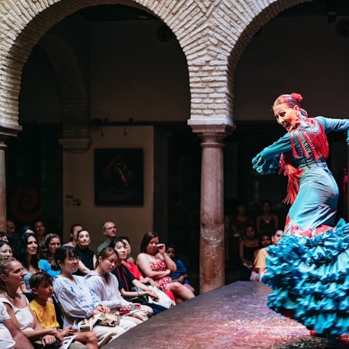 Flamenco Dance Museum: Admission + Matinee Flamenco Show