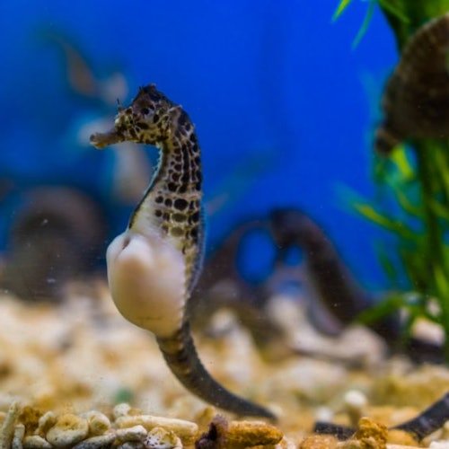 Acuario de Sevilla: Entrada