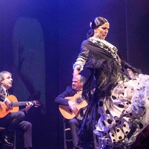 Teatro Flamenco Málaga: Espectáculo Flamenco