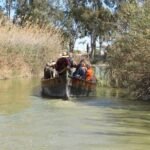 Albufera: Bus + Barco desde Valencia