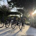 Valencia: Alquiler de bicicletas urbanas "Omafiets" de estilo holandés desde la zona de Russafa