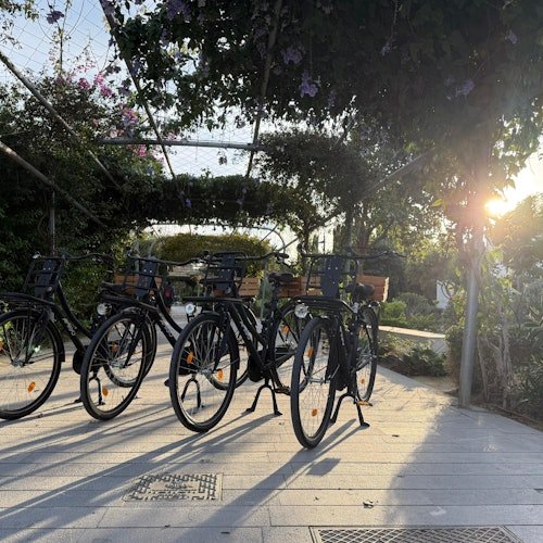 Valencia: Alquiler de bicicletas urbanas "Omafiets" de estilo holandés desde la zona de Russafa