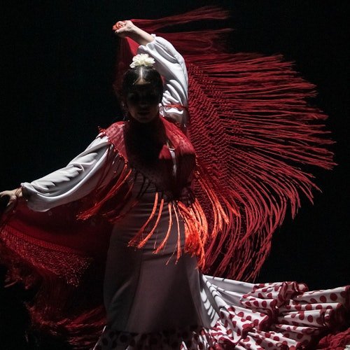 Teatro Flamenco Sevilla: Espectáculo de flamenco
