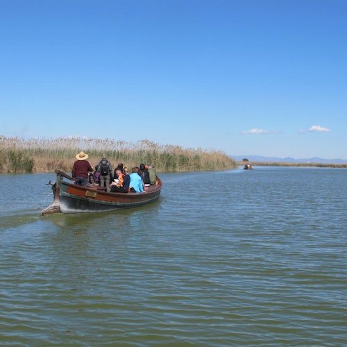 Albufera: Bus + Barco desde Valencia