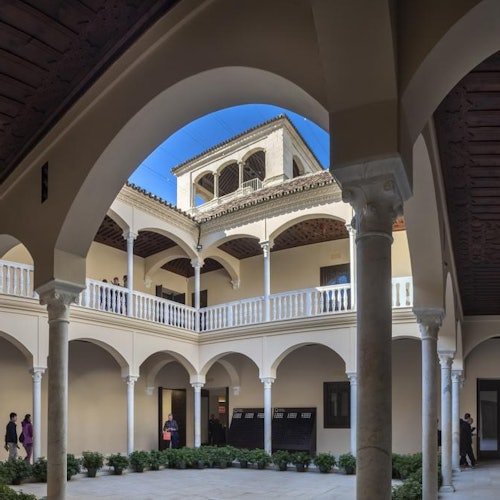 Museo Picasso Málaga y Museo Casa Natal de Picasso: Tour guiado