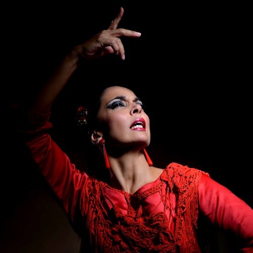 Teatro Flamenco Málaga: Espectáculo Flamenco